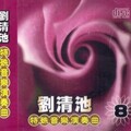 刘清池 - 男性本事漂泊的心情