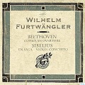 Georg Kulenkampff、Berliner Philharmoniker、Wilhelm Furtwängler - Jean Sibelius: Concerto for Violin and Orchestra in D minor, Op. 47 (降E大调长笛与大键琴奏鸣曲,作品1031 - 第一乐章，中庸的快板)(I. Allegro moderato)