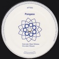 Pangaea - Bear Witness
