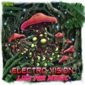 Electro Vision - Wicked Sound