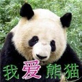 康乔 - Panda China