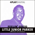 Little Junior’s Blue Flames - Love My Baby
