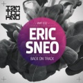 Eric Sneo - Back On Track