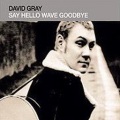 David Gray - Say Hello, Wave Goodbye