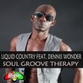 Liquid Country、Dennis Wonder - Slow Down (Original Mix)