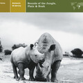ANIMALS OF AFRICA Sounds of the Jungle、Plain、Bush - Leopard