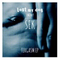 Sek - Fergasm