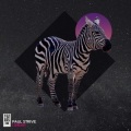 Paul Strive - Linear