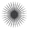 Bardo Pond、Tom Carter - Untitled I