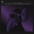 Fer BR - Acoustic Dimension I