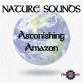Chacra Music - Astonishing Amazon