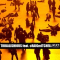 Tribalishious、Craig Mitchell - House Music (Club Mix feat. Craig Mitchell)