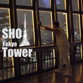 Tokyo Tower (东京铁塔)