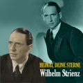 Wilhelm Strienz - Abends In Der Taverne