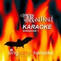 Karaoke - I'd Do Anything For Love (But I Won't Do That)