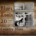 Blues Roots: 20 Songs by the Kings of Country Blues