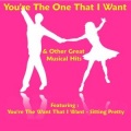 The Broadway Performers - You're Getting to Be a Habit With Me