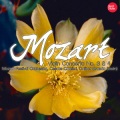 Dalibor Brazda - Violin Concerto No. 3 in G major, K. 216: I. Allegro