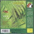 冼其炜 - 森林狂欢