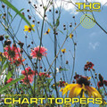 Top Hits Group - Love Is A Stranger