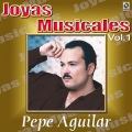 Pepe Aguilar - Fuiste Tu