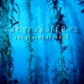 Aqualite - Wavemaker