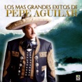 Pepe Aguilar - El Gato