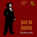 José de Aguilar - La Virgen de Guadalupe
