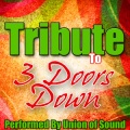 Tribute to 3 Doors Down