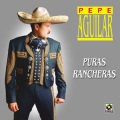Pepe Aguilar - Mexico Lindo