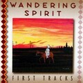 Wandering Spirit - Billy D