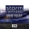 Steve Forget、Cactus Twisters - Storm (Cactus Twisters Remix)