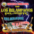 Los Relampagos Del Norte、Ramón Ayala、Cornelio Reyna - El Disgusto