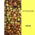 Attwenger - Abersee