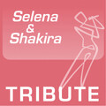 ProSound Tribute Band - Como La Flor