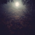 Josh Mason、David Andree - (In)
