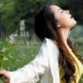 卢薪羽 - 生命之不能承受