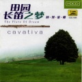South China Music Troupe - Going Back To My Home Town