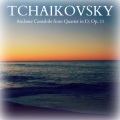 the new symphony orchestra of london、Alexander Gibson - Andante Cantabile from Quartet in D Major, Op. 11