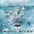 Miraculix - The Reporter