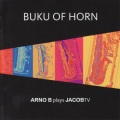 Arno Bornkamp、Het Gelders Orkest Jurjen Hempel - Tallahatchie Concerto (Slow Movement)