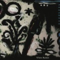 White Rabbits - Shining Skies