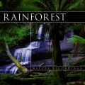 Delta Waves - Tropical Rainforest 1