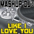 Remix Masters - Like I Love You (113 BPM)