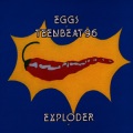 Eggs - Why Am I So Tired All the Time?