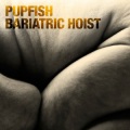Pupfish - Bariatric Hoist