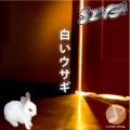SIVA - White Rabbit