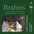 Leipziger Streichquartett、Hartmut Rohde、Peter Bruns - Sextet in G Major, Op. 36: I. Allegro non troppo