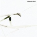 Amnesia - Diaria