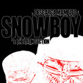 Snowboy、The Latin Section - Where's The One